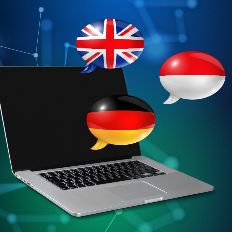 MultilingualSupportModuleOptions